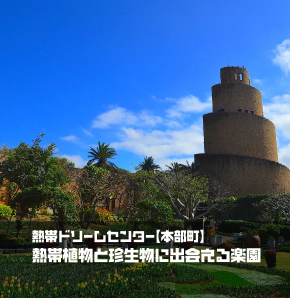 熱帯ドリームセンター【本部町】｜熱帯植物と珍生物に出会える樂園