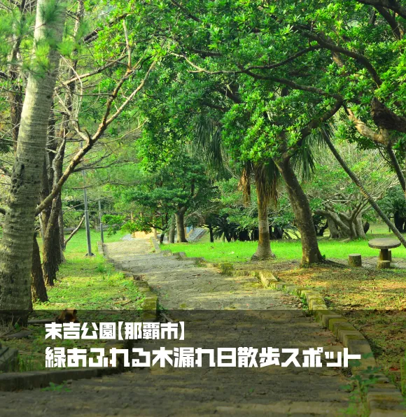 末吉公園【那覇市】｜緑あふれる木漏れ日散歩スポット